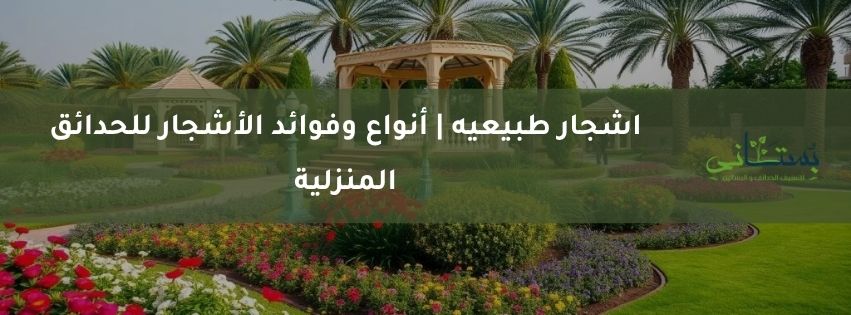 اشجار طبيعيه أنواع وفوائد الأشجار للحدائق المنزلية