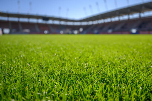 تركيب ثيل طبيعي بالرياض