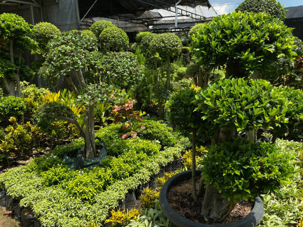 مشاتل شرق الرياض